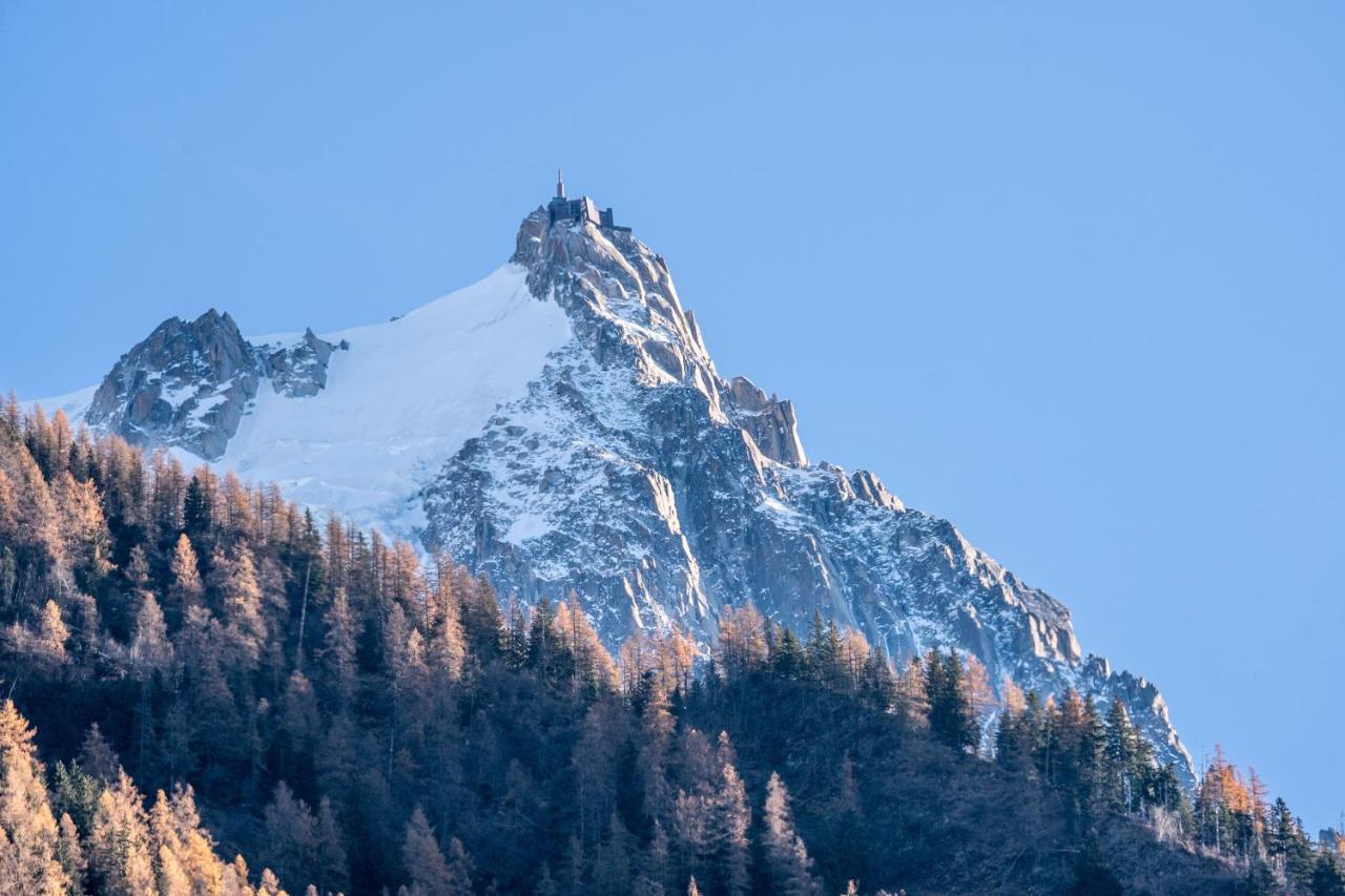 Chamonix Sud Studio With Mont Blanc Views 외부 사진