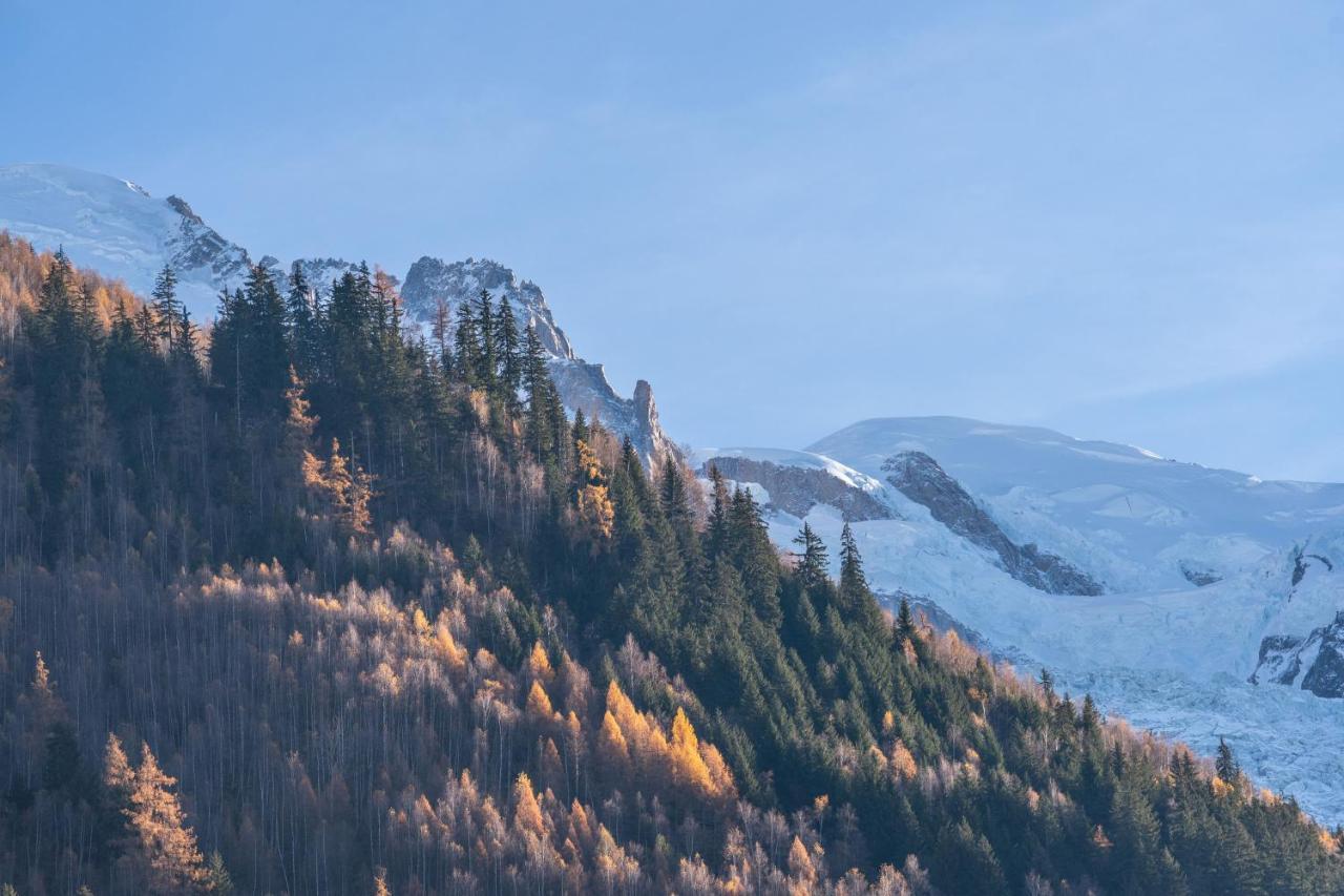 Chamonix Sud Studio With Mont Blanc Views 외부 사진
